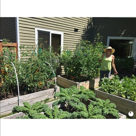 Meet your Posher, Sheila - Picture 2 of 11